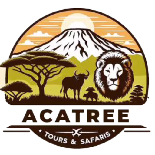 Acatree Tours