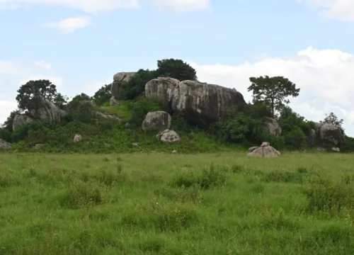 How to Apply for a Tanzania Visa Smoothly