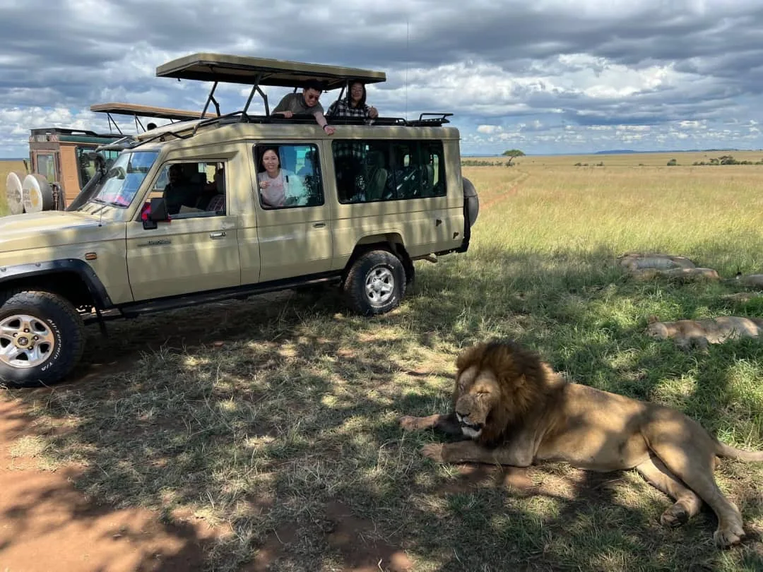 3 Days Tarangire, Lake Manyara & Ngorongoro Safari