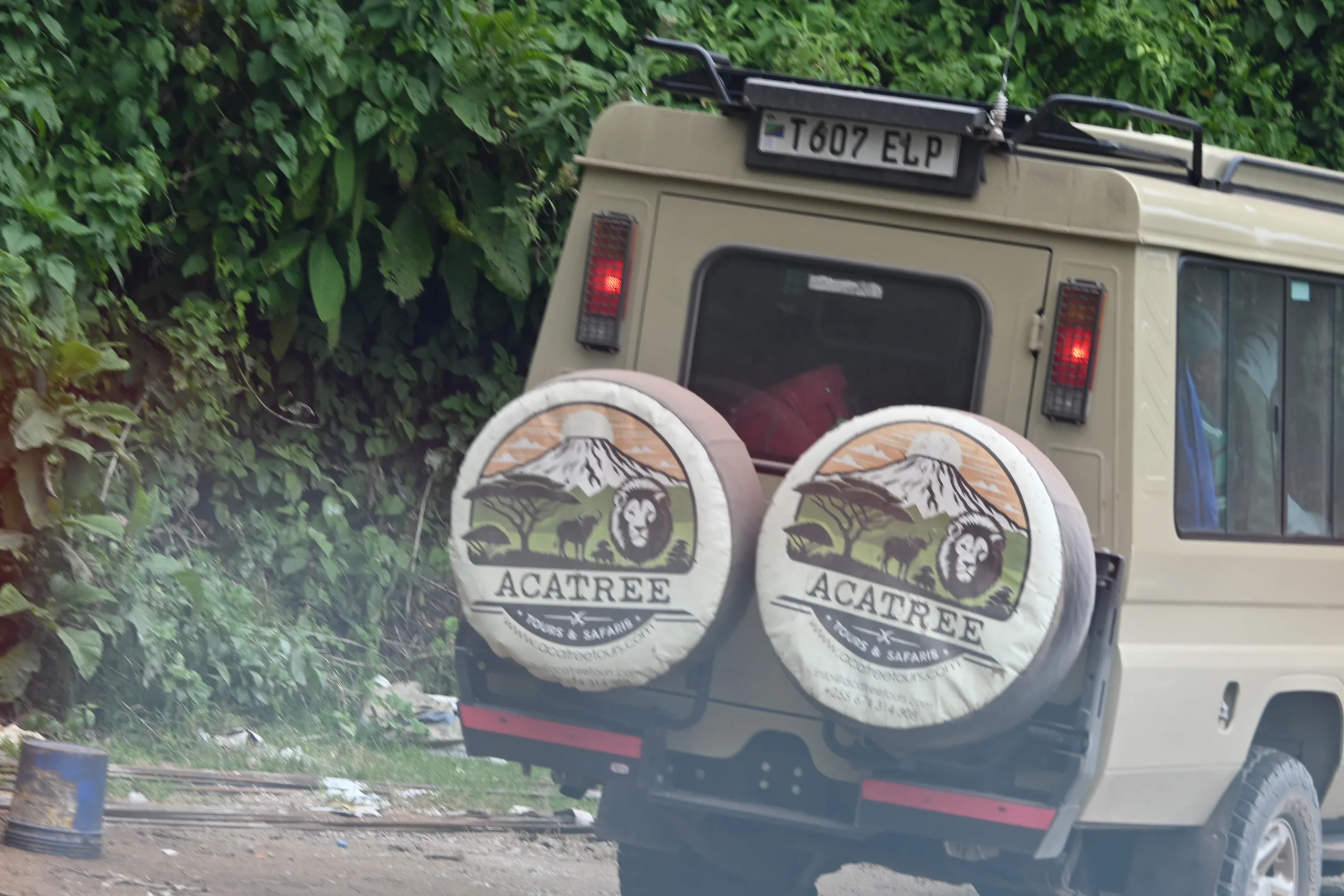 7-DAY WILDLIFE SAFARI: MANYARA, SERENGETI & ZANZIBAR